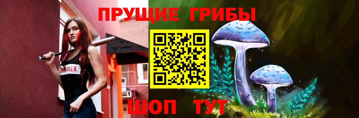 Воткинск  Галлюциногенные грибы MAGIC MUSHROOMS  где можно купить   Вход с VPN 